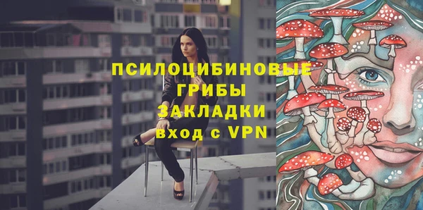 кокс Алексин